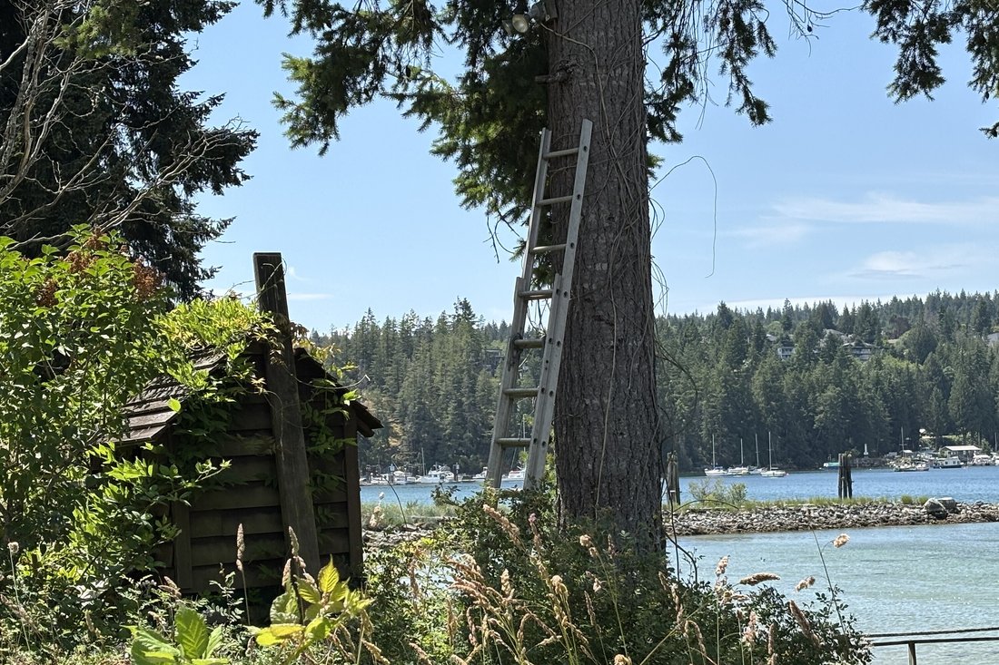 Casa a Sechelt, Columbia Britannica, Canada 4 - 15498341