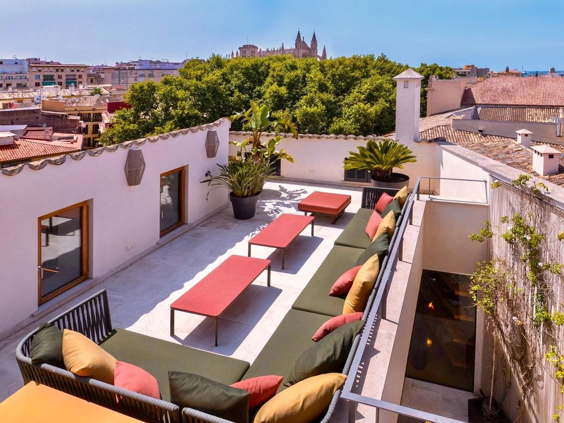 Apartment in Palma, Balearic Islands, Spain 1 - 15802720