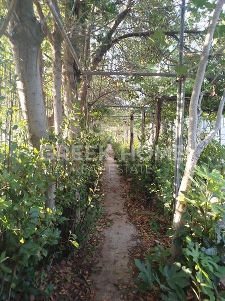House in Vari, Attica, Greece 5 - 15805293