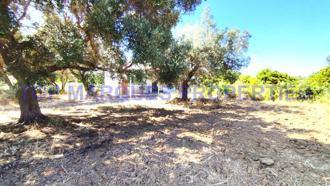 House in Moncarapacho, Algarve, Portugal 4 - 15805261