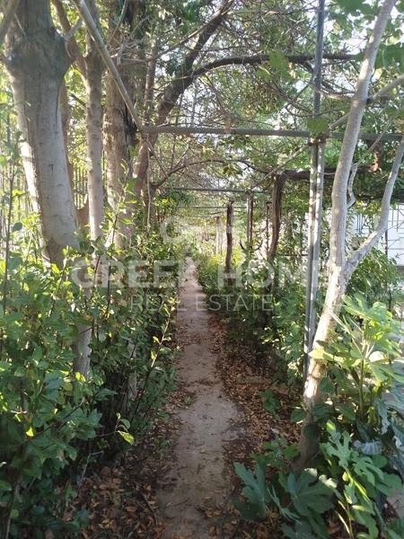 House in Vari, Attica, Greece 4 - 15805293
