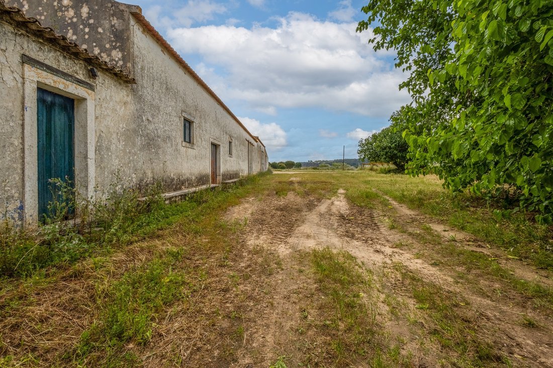 Farm Ranch in Alcacer do Sal, Setubal, Portugal 3 - 15801734