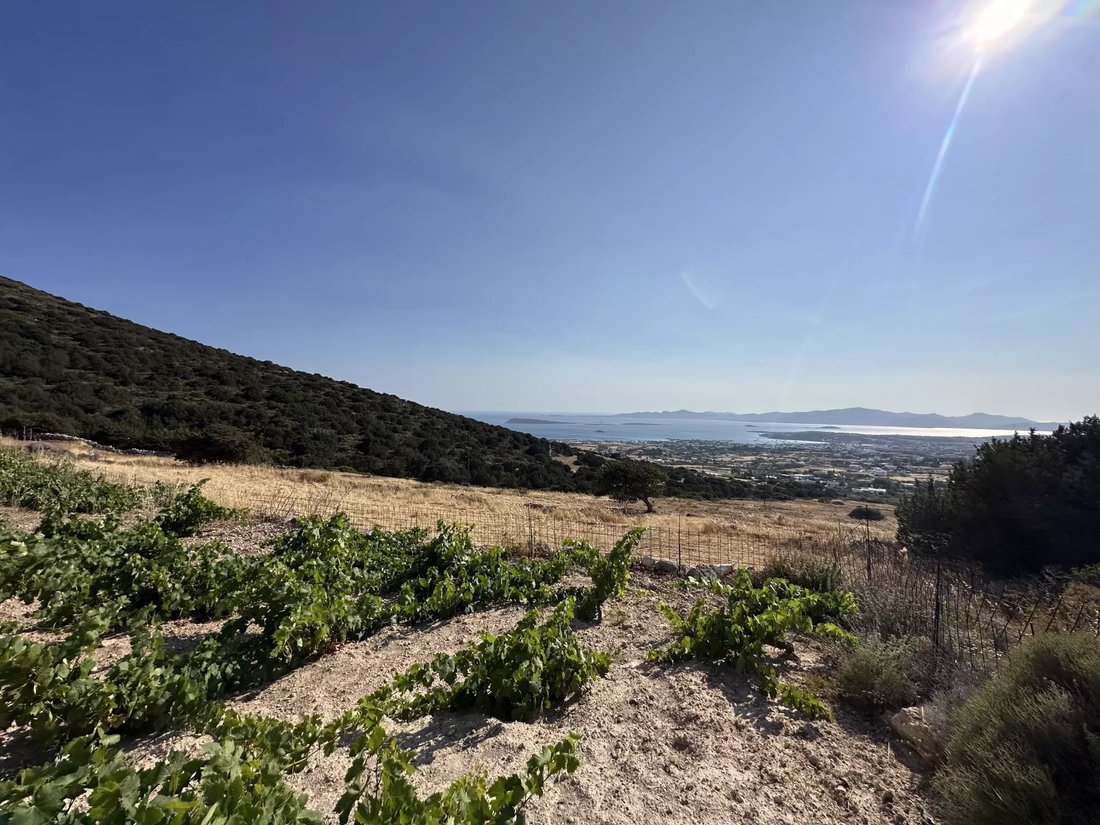 Land in Paros, Aegean, Greece 2 - 15800189
