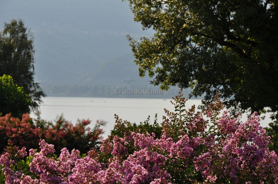 Villa in Ispra, Lombardy, Italy 1 - 15802079
