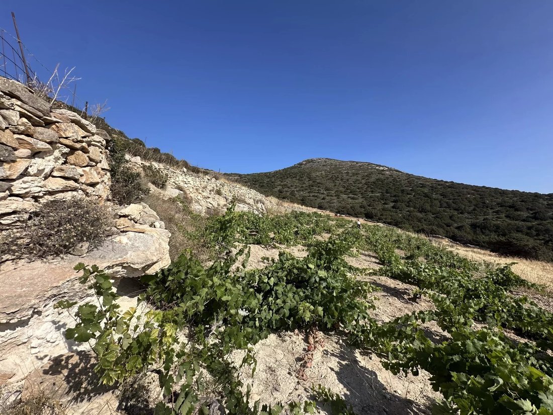 Land in Paros, Aegean, Greece 4 - 15800189