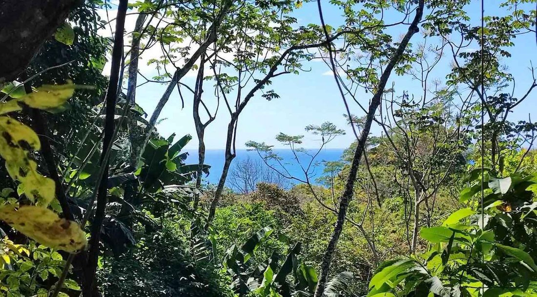 Villa in Santa Teresa Beach, Puntarenas Province, Costa Rica 2 - 15803882
