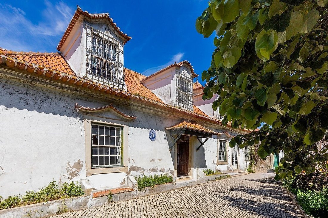 Farm Ranch in Quiaios, Coimbra District, Portugal 3 - 15684446