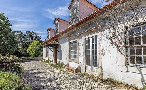 Azienda agricola a Quiaios, Distretto di Coimbra, Portogallo 1