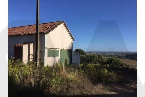 Farm Ranch in Ventosa, Lisbon, Portugal 3 - 15807048
