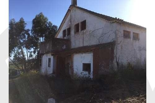 Farm Ranch in Ventosa, Lisbon, Portugal 4 - 15807048