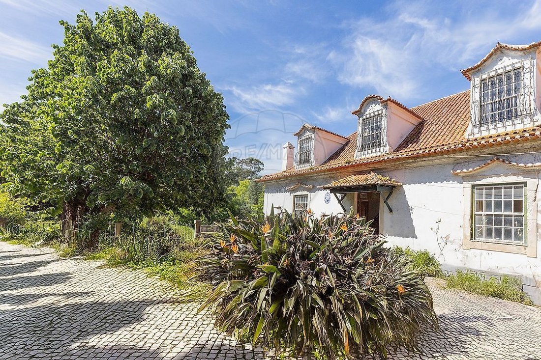 Farm Ranch in Quiaios, Coimbra District, Portugal 2 - 15684446