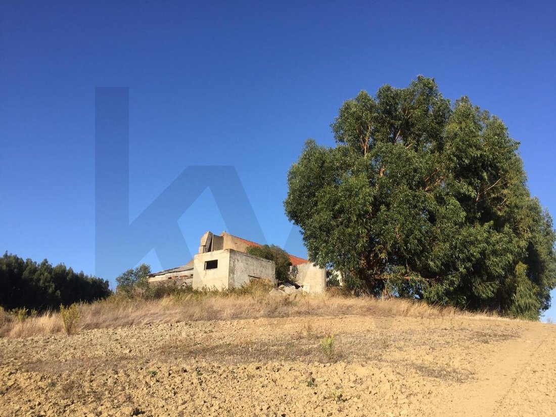 Rancho en Ventosa, Distrito de Lisboa, Portugal 1 - 15807048