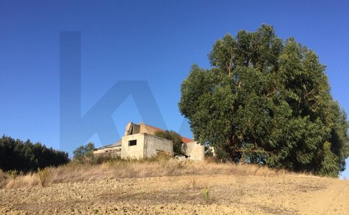 Farm Ranch in Ventosa, Lisbon, Portugal 1