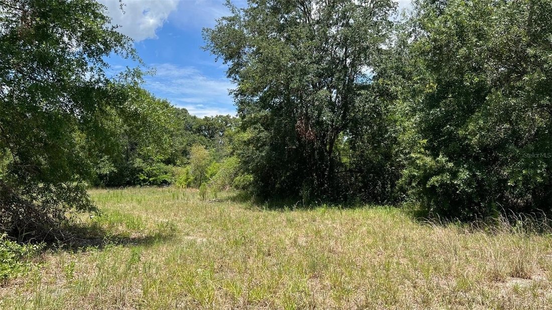 Land in Auburndale, Florida, United States 4 - 15807076
