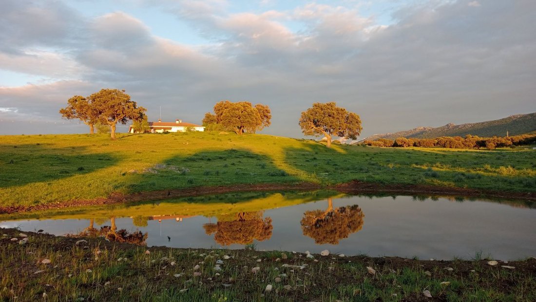 Farm Ranch in Puertollano, Castile-La Mancha, Spain 1 - 15808378