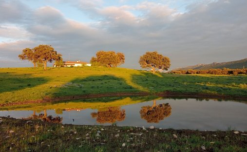 Farm Ranch in Puertollano, Castile-La Mancha, Spain 1