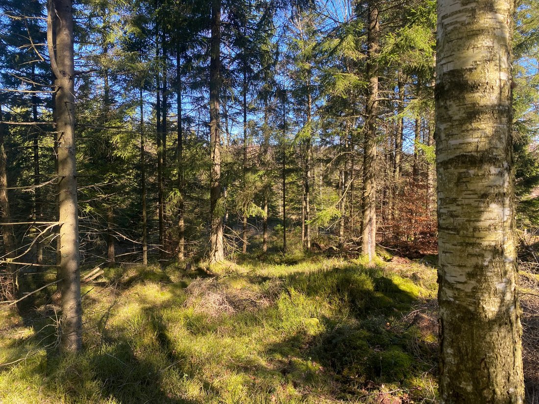 Farm Ranch in Kammarebo, Halland County, Sweden 4 - 15808522
