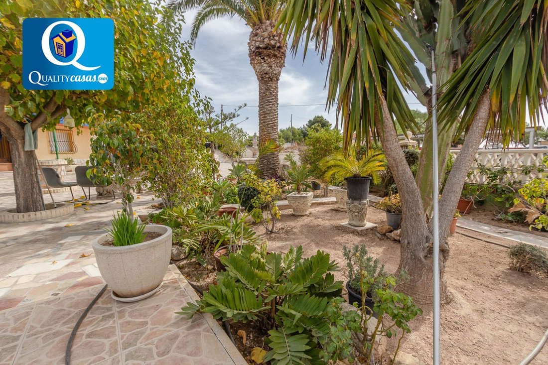 Villa in Sant Vicent del Raspeig, Valencian Community, Spain 4 - 15808382