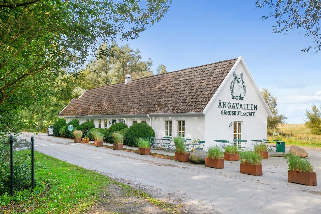 Farm Ranch in Vellinge, Skåne County, Sweden 4 - 15588056