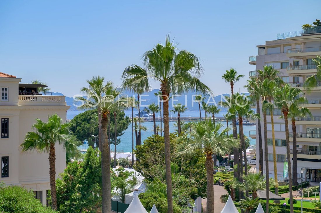 Apartment in Cannes, Provence-Alpes-Côte d'Azur, France 1 - 15809051