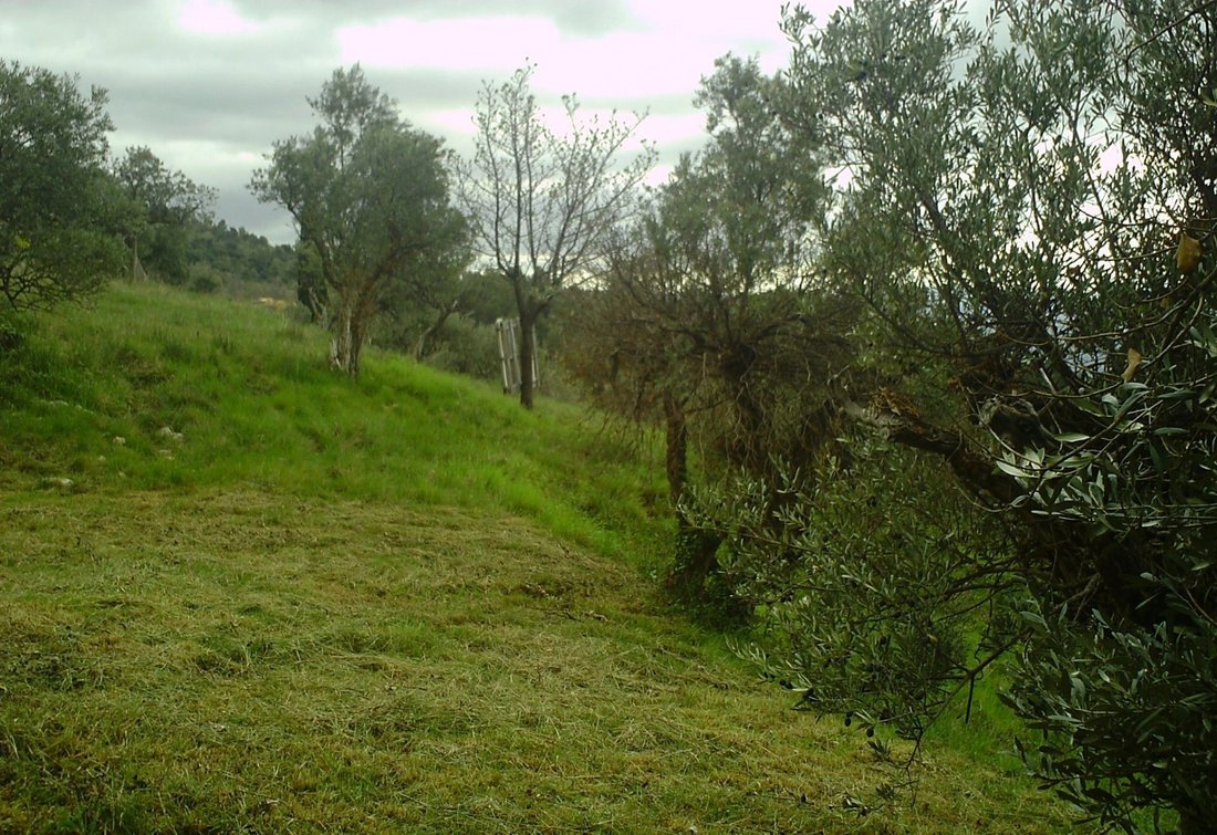 Land in Mougins, Provence-Alpes-Côte d'Azur, France 2 - 15810405