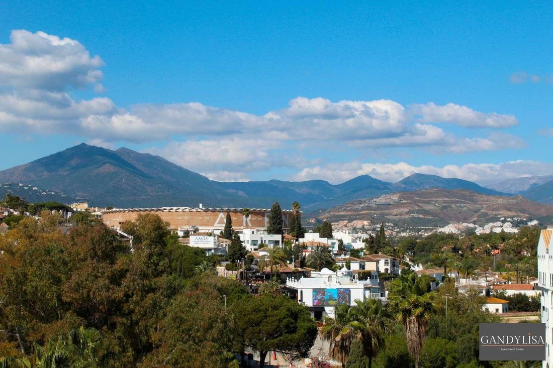 Apartment in Puerto Banus, Marbella, Spain 4 - 15812379