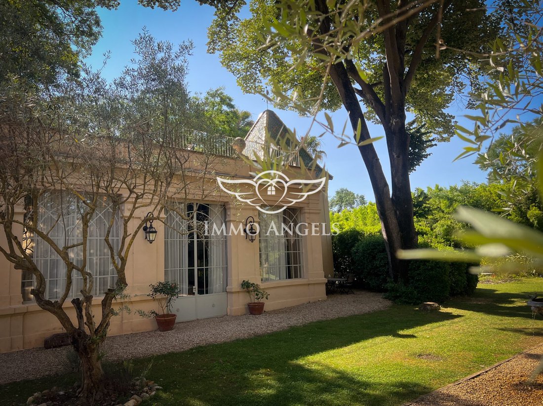 Château des Rêves: A Vine-Clad 18th-Century Jewel in Occitanie’s Golden Light