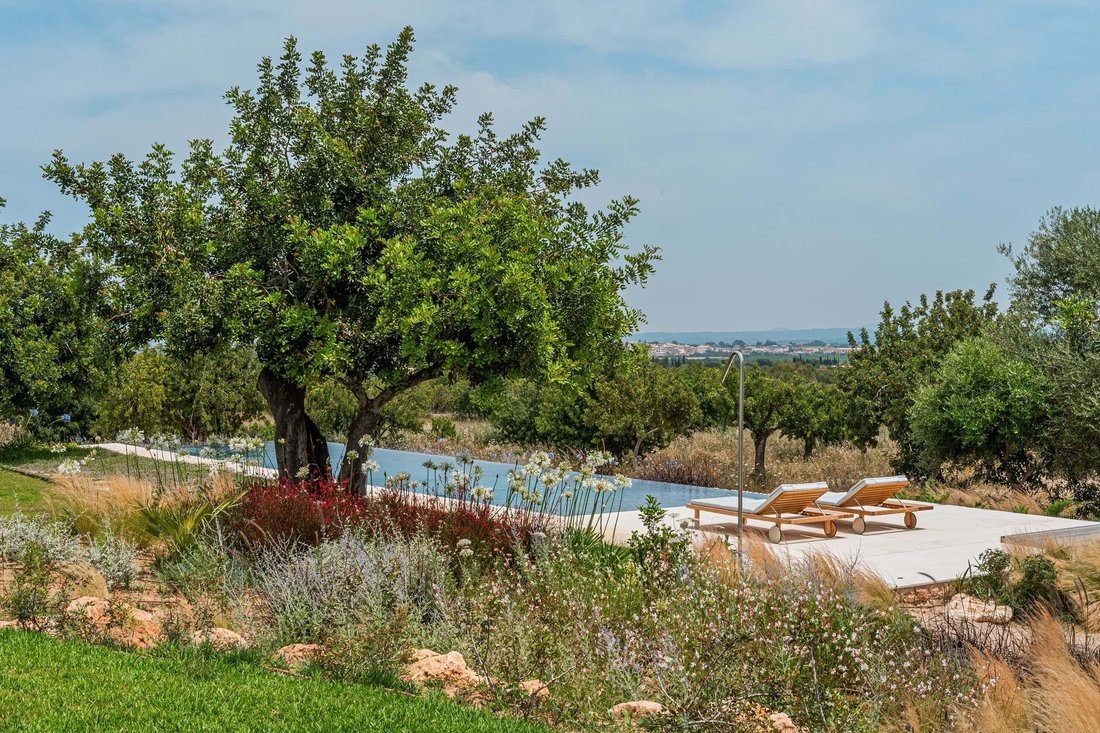 Farm Ranch in Santa Maria del Cami, Balearic Islands, Spain 2 - 15813902
