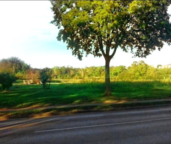 Land in Rovinj, Istria County, Croatia 2 - 13769599