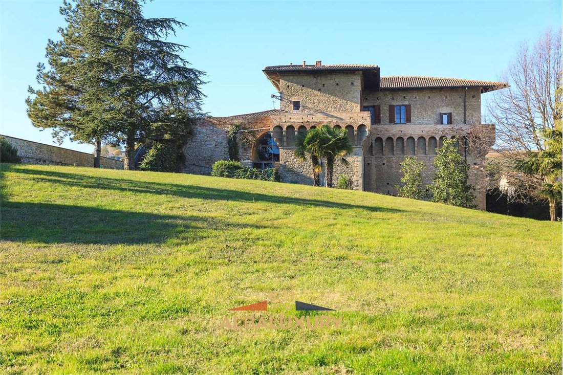 A Medici Masterpiece: Where Renaissance Grandeur Meets Timeless Elegance