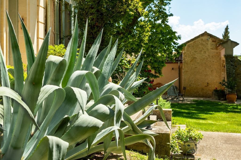 Le Rêve Provençal: A 19th-Century Château Where Time Stands Still