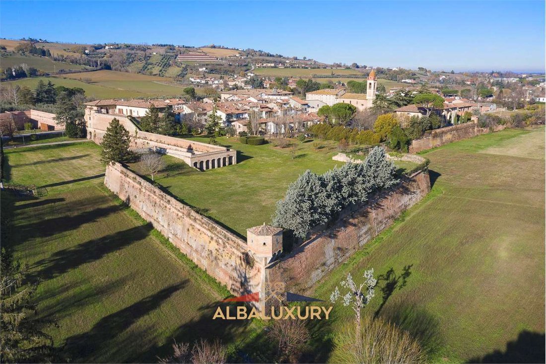 A Medici Masterpiece: Where Renaissance Grandeur Meets Timeless Elegance