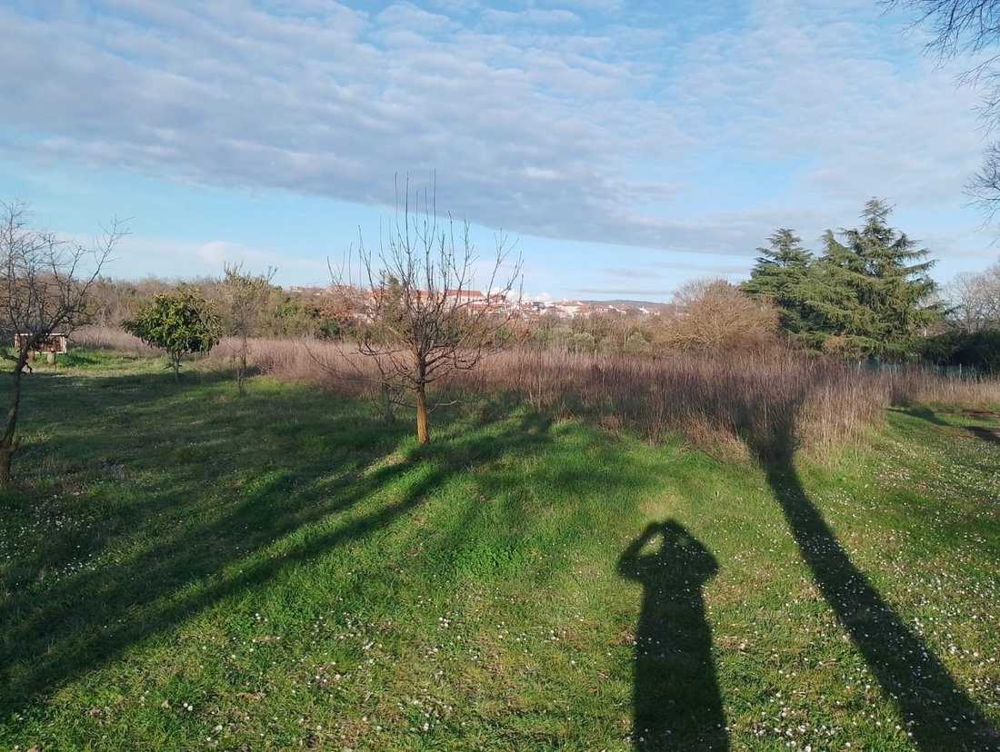 Land in Rovinj, Istria County, Croatia 4 - 13769599