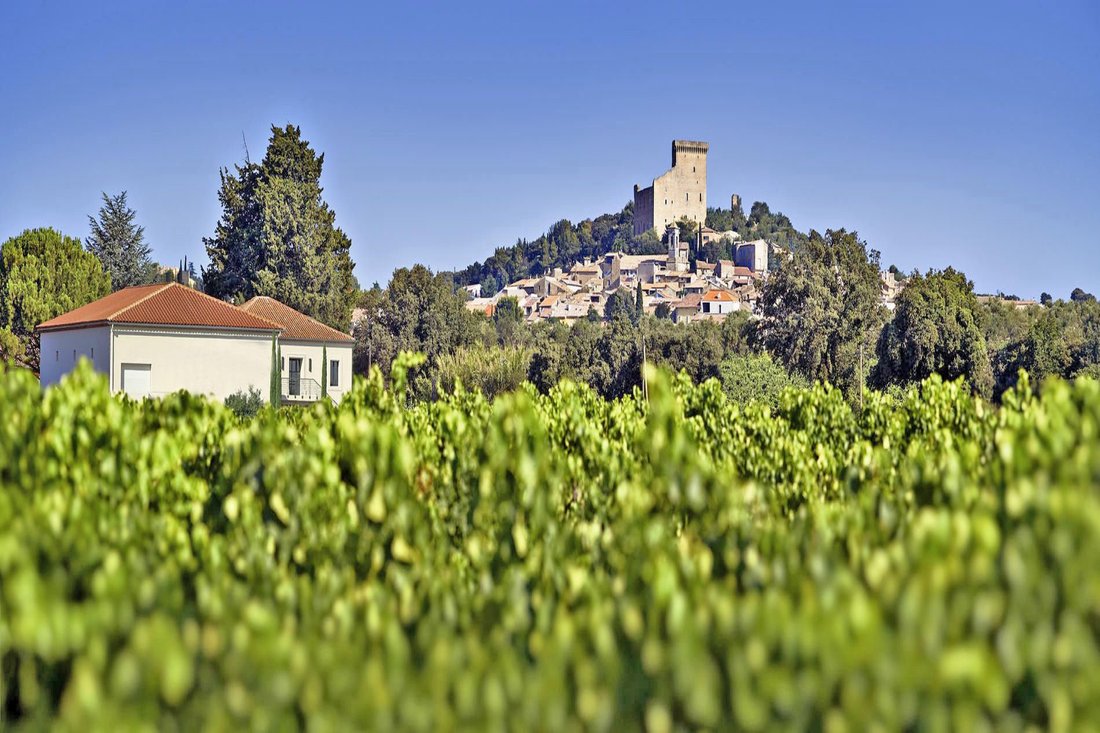 Châteauneuf-du-Pape, Provence-Alpes-Côte d'Azur, France 1 - 14256329