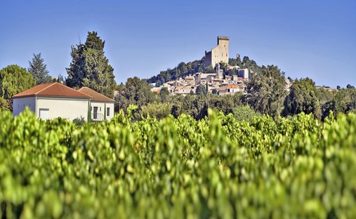 Châteauneuf-du-Pape, Provenza-Alpi-Costa Azzurra, Francia 1