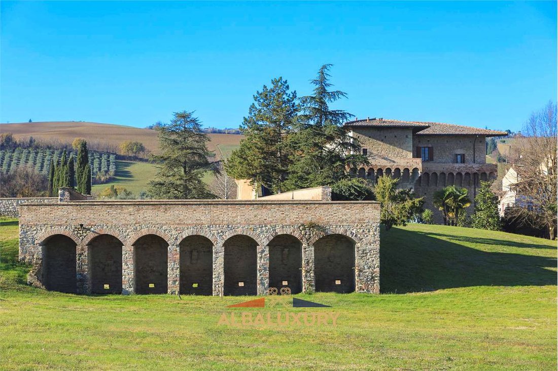 A Medici Masterpiece: Where Renaissance Grandeur Meets Timeless Elegance