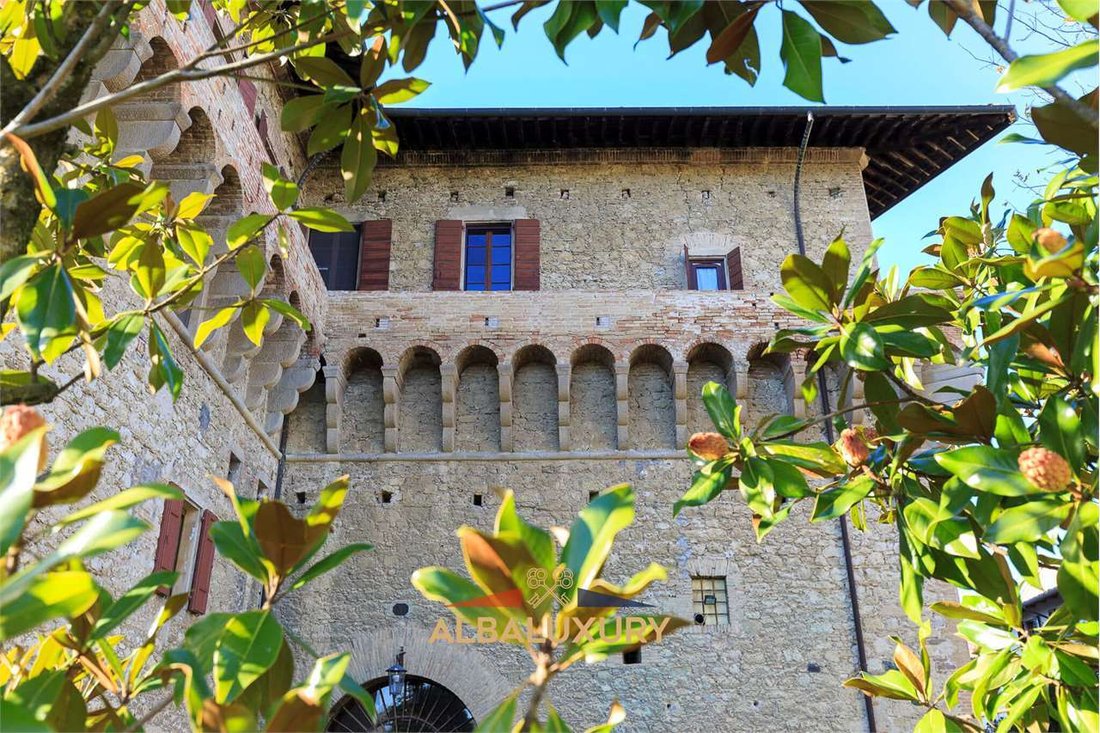 A Medici Masterpiece: Where Renaissance Grandeur Meets Timeless Elegance