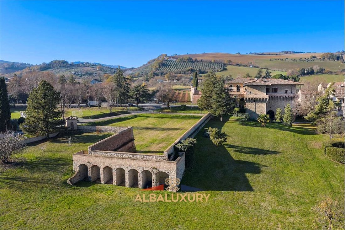 A Medici Masterpiece: Where Renaissance Grandeur Meets Timeless Elegance