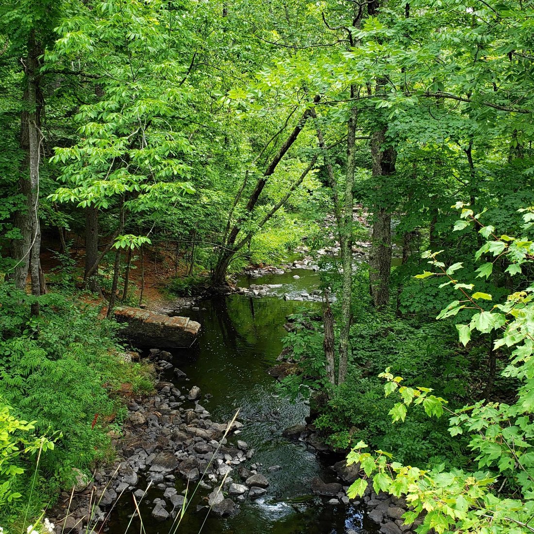 Land in Limerick, Maine, United States 1 - 15818784