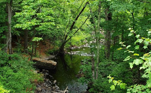 Land in Limerick, Maine, United States 1