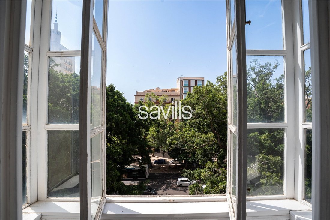 Apartment in Centro, Malaga, Spain 4 - 15815517