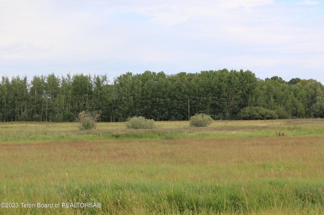 Land in Driggs, Idaho, United States 5 - 15818015