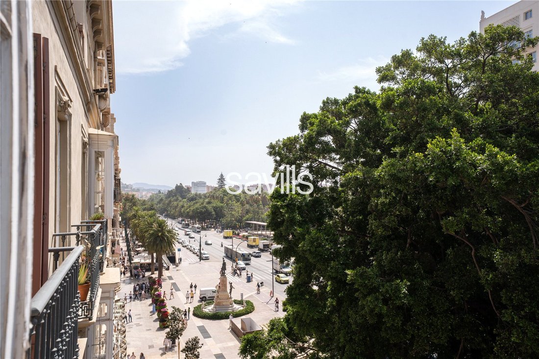 Apartment in Centro, Malaga, Spain 1 - 15815517