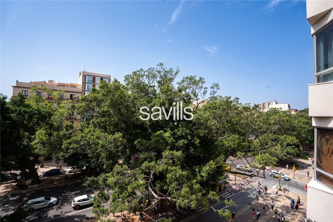 Apartment in Centro, Malaga, Spain 5 - 15815517