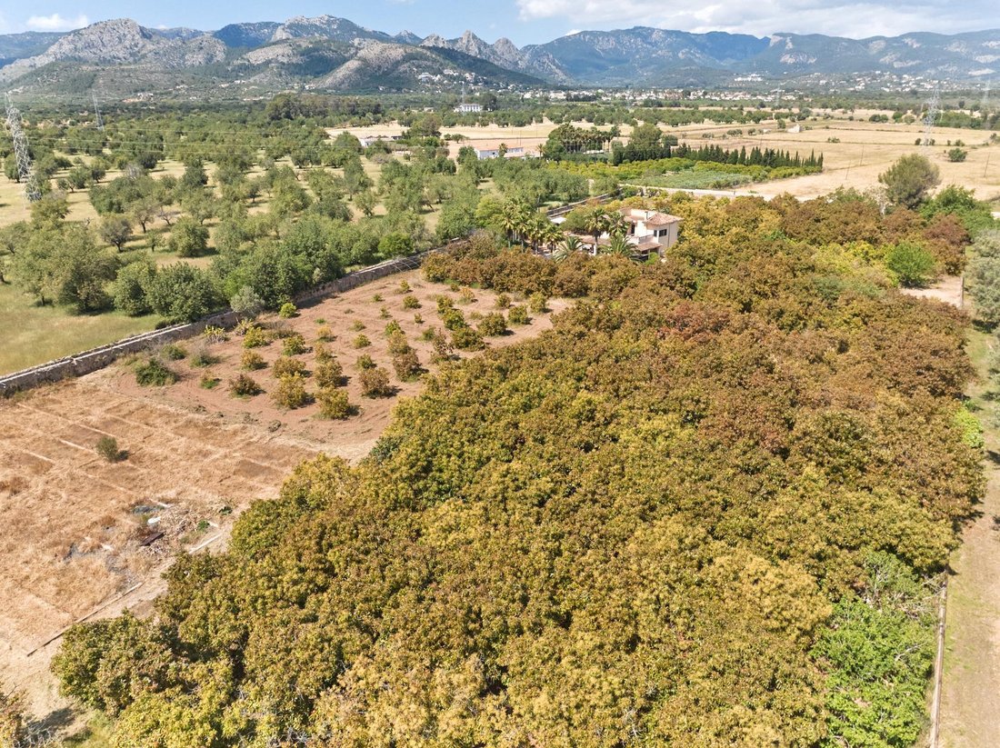 Country House in Palma, Balearic Islands, Spain 5 - 15818148