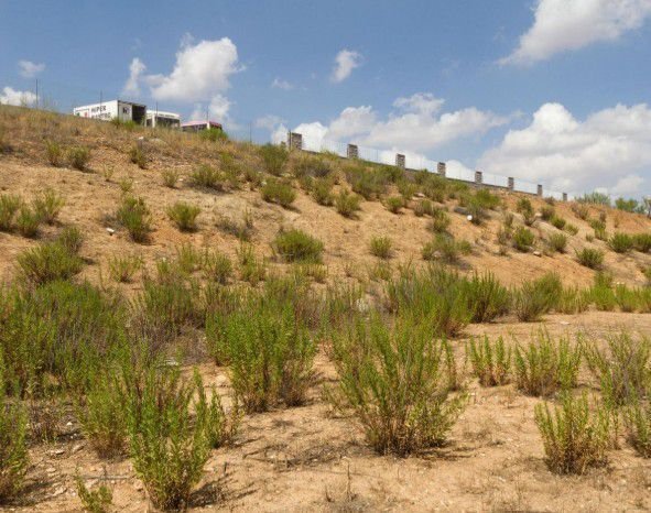 Terreno a Daganzo de Arriba, Madrid, Spagna 5 - 15824466