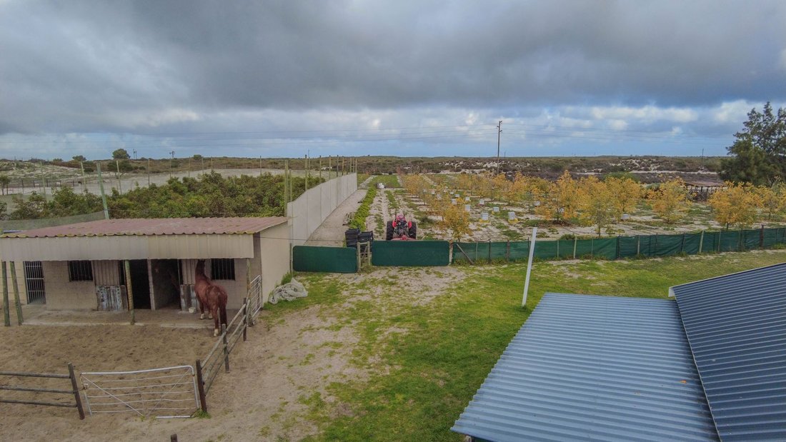 Estate in Hopefield, Western Cape, South Africa 5 - 15825712