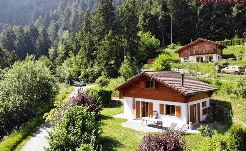 House in Chamoson, Valais, Switzerland 1