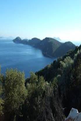 Land in Community of Spartochori, Peloponnese, Western Greece and the Ionian, Greece 2 - 15825084
