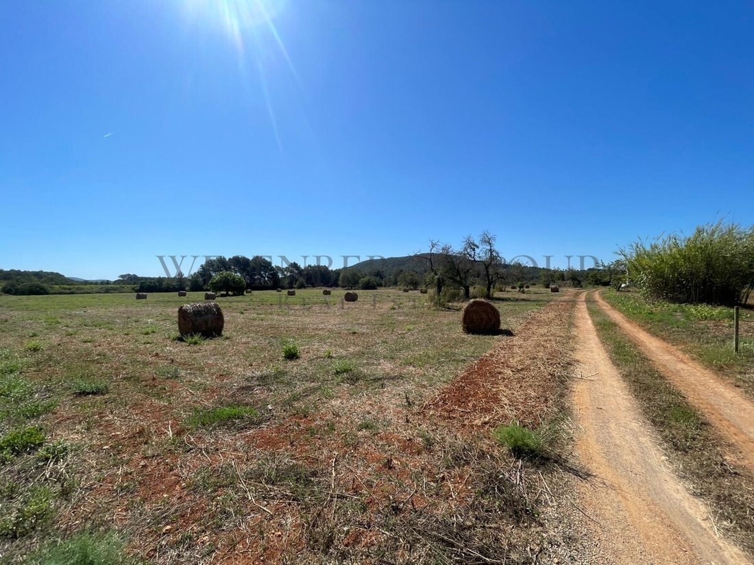Land in Sant Joan de Labritja, Balearic Islands, Spain 4 - 15827991
